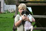 ENFANT ET CHIEN 660